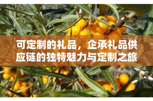 可定制的礼品，企承礼品供应链的独特魅力与定制之旅
